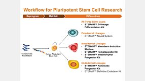 STEMdiff™ Kits for Robust and Efficient Differentiation of hPSCs to Multiple Cell Types 