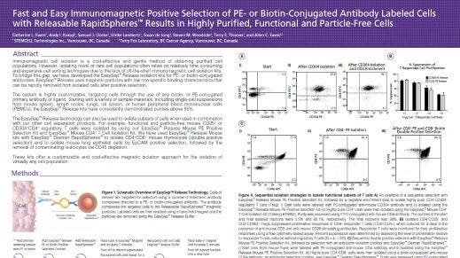 Positive Selection of PE- or Biotin-Conjugated Antibody Labeled Cells with Releasable Rapidspheres™
