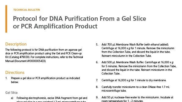 Protocol for DNA Purification From a Gel Slice or PCR Amplification Product
