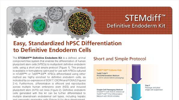 STEMdiff™ Definitive Endoderm Kit