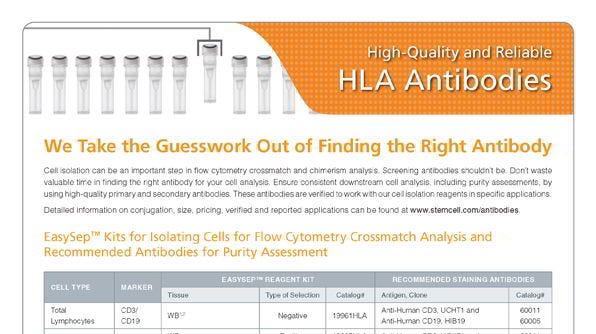 HLA Antibodies for Purity Assessment