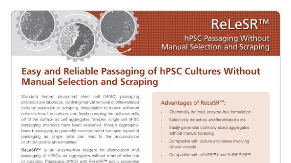 ReLeSR™: hPSC Passaging Without Manual Selection and Scraping