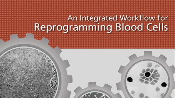 An Integrated Workflow for Reprogramming Blood Cells