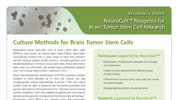 NeuroCult™: Reagents for Brain Tumor Stem Cell Research