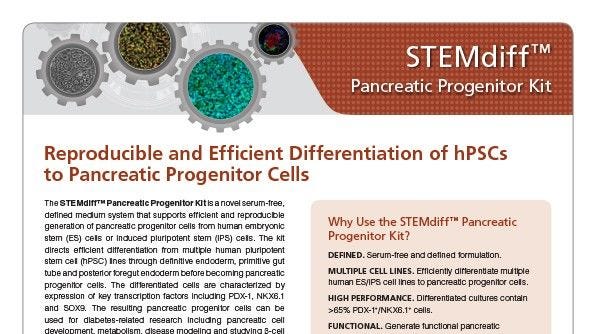 STEMdiff™ Pancreatic Progenitor Kit
