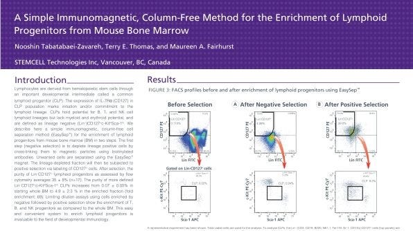 Immunomagnetic Cell Enrichment of Lymphoid Progenitors from Mouse Bone Marrow