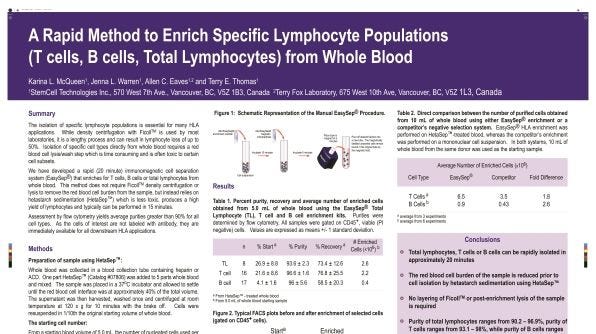 Cell Enrichment of Specific Lymphocyte Populations (T Cells, B Cells, Total Lymphocytes) from Whole Blood