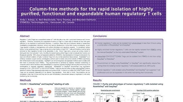 Rapid Isolation of Highly Purified, Functional and Expandable Human Regulatory T Cells