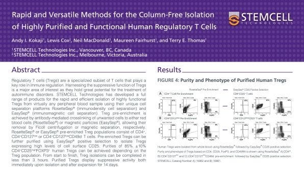 Column-Free Isolation of Highly Purified and Functional Human Regulatory T Cells