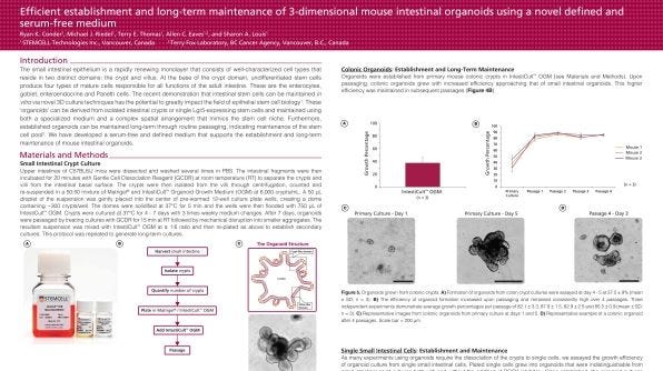 Efficient Establishment and Long-Term Maintenance of 3-Dimensional Mouse Intestinal Organoids Using a Novel Defined and Serum-Free Medium