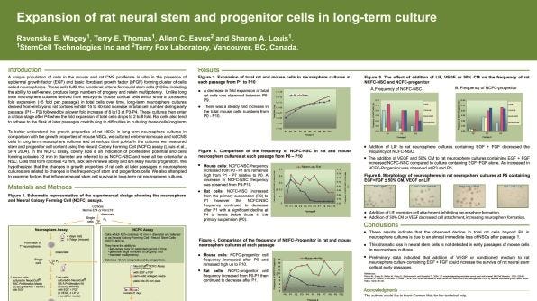 Expansion of Rat Neural Stem and Progenitor Cells in Long-Term Culture