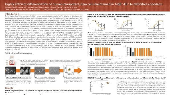 Highly Efficient Differentiation of Human Pluripotent Stem Cells Maintained in TeSR™-E8™ to Definitive Endoderm