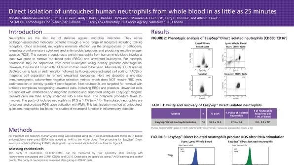 Isolation of Untouched Neutrophils Directly from Whole Blood in 20 Minutes