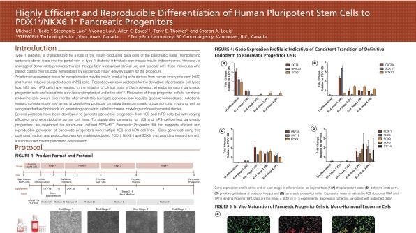 Highly Efficient and Reproducible Differentiation of hPSCs to PDX1+ NKX6.1+ Pancreatic Progenitors