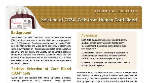Isolation of CD34+ Cells from Human Cord Blood