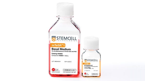 mTeSR™1: Standardized Medium for the Feeder-Independent Maintenance of hESCs & hiPSCs