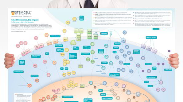 Small Molecules, Big Impact in Pluripotent Stem Cell Research