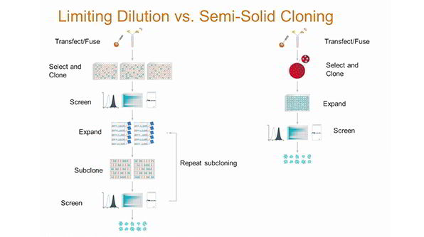 A Smarter Way To Clone: What You Don't Know About Limiting Dilution Can Hurt Your Probability of Monoclonality