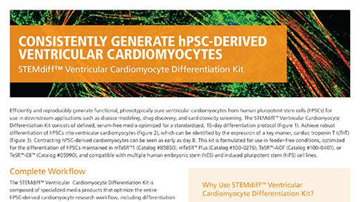 STEMdiff™ Cardiomyocyte Differentiation Kit