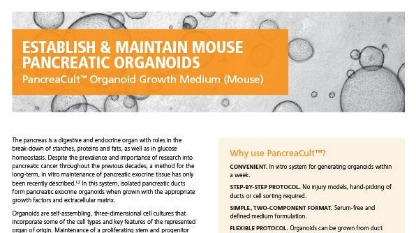 PancreaCult™ Organoid Growth Medium (Mouse)