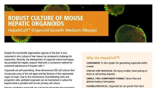 HepatiCult™ Organoid Growth Medium (Mouse)