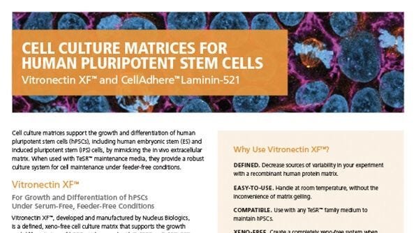 Cell Culture Matrices for Human Pluripotent Stem Cells