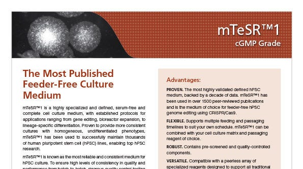 cGMP mTeSR™1