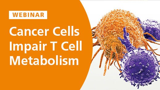 Cancer Cells Impair T Cell Metabolism 
