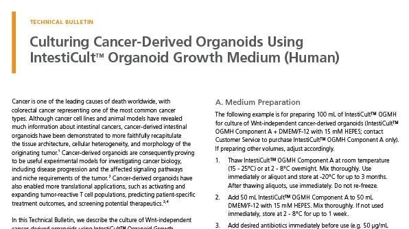 Culturing Cancer-Derived Organoids Using IntestiCult™ Organoid Growth Medium (Human)