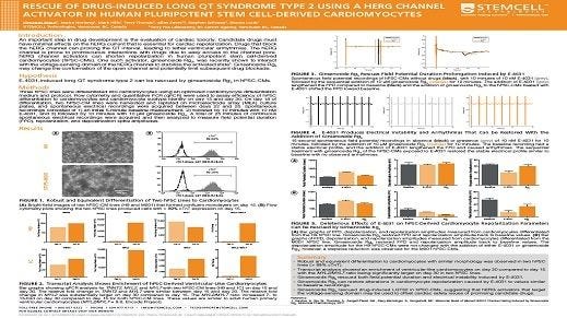Rescue of Drug-Induced Long QT Syndrome Type 2 Using a hERG Channel Activator in Human Pluripotent Stem Cell-Derived Cardiomyocytes