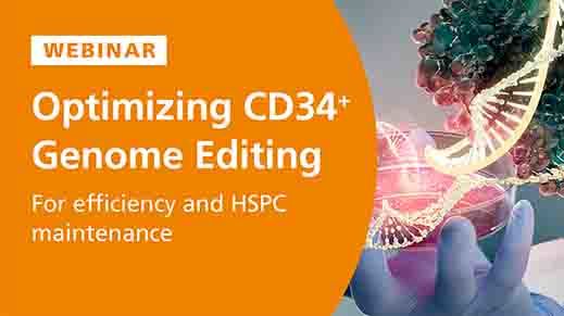 Optimizing CD34+ Cell Genome Editing for Efficiency and HSPC Maintenance