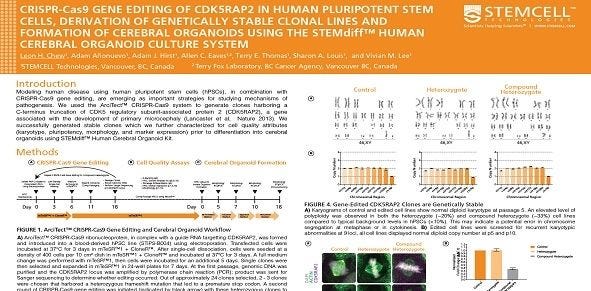 CRISPR-Cas9 Gene Editing Of CDK5RAP2 In Human Pluripotent Stem Cells, Derivation Of Genetically Stable Clonal Lines And Formation Of Cerebral Organoids