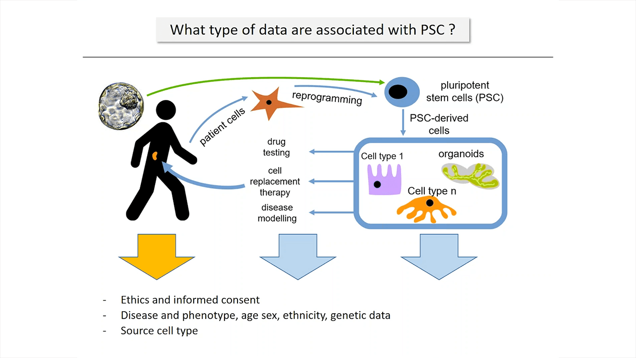 Data Quality and Standards for Pluripotent Stem Cells
