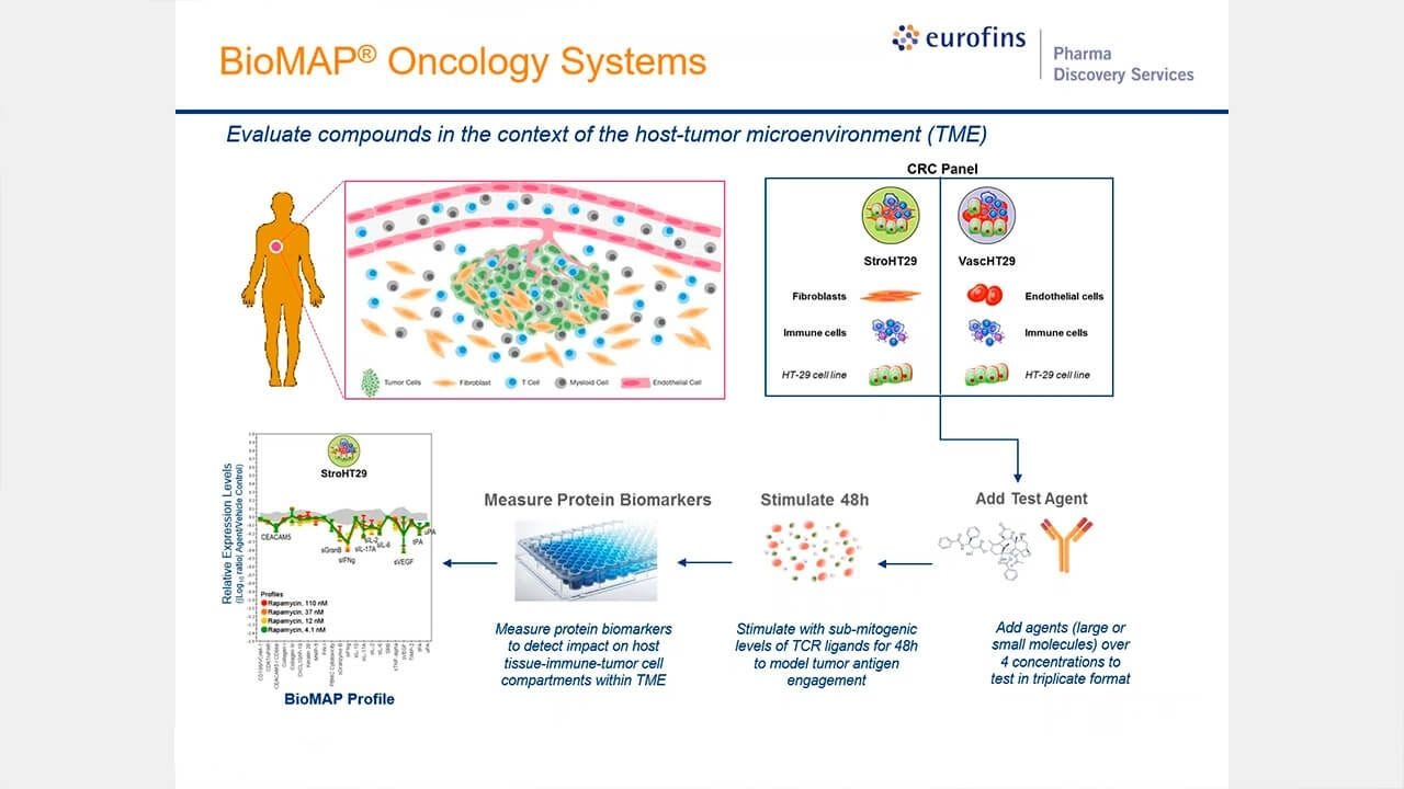 Evaluating the Immuno-Oncology Potential of Compounds Using Human In Vitro TME Models