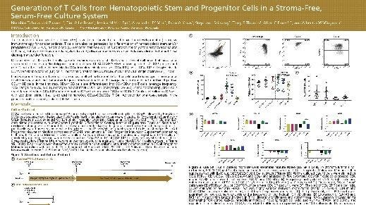 Generation of T Cells from Hematopoietic Stem and Progenitor Cells in a Stroma-Free, Serum-Free Culture System