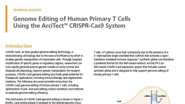Genome Editing of Human Primary T Cells Using CRISPR-Cas9