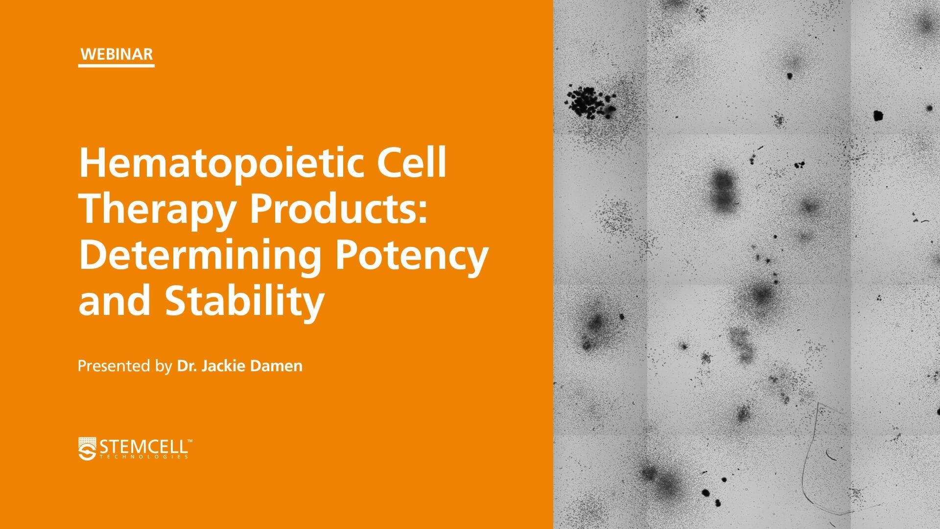 Determining the Potency & Stability of Hematopoietic Cells