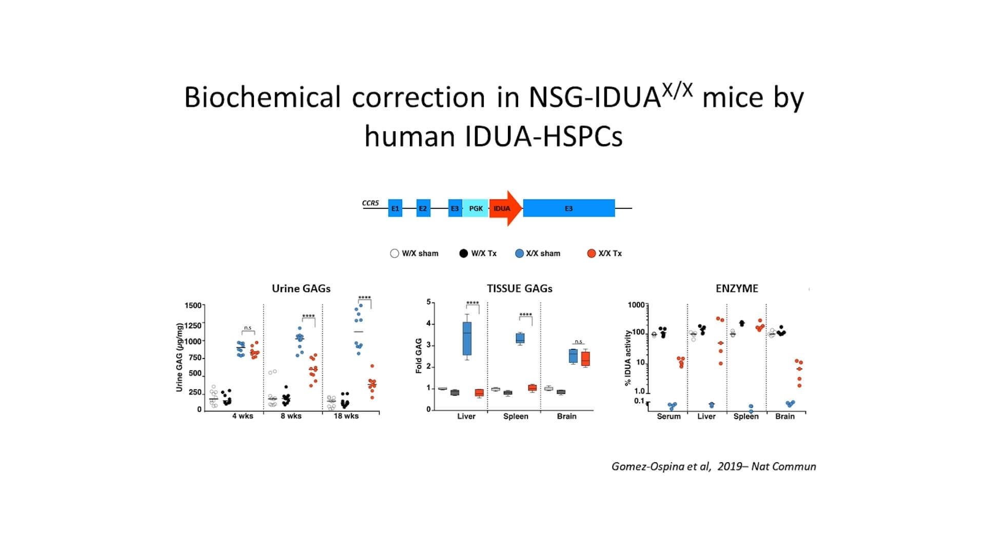 Engineering the Hematopoietic System to Treat Non-Hematological Disorders