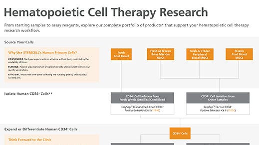 Hematopoietic Cell Therapy Research Workflow