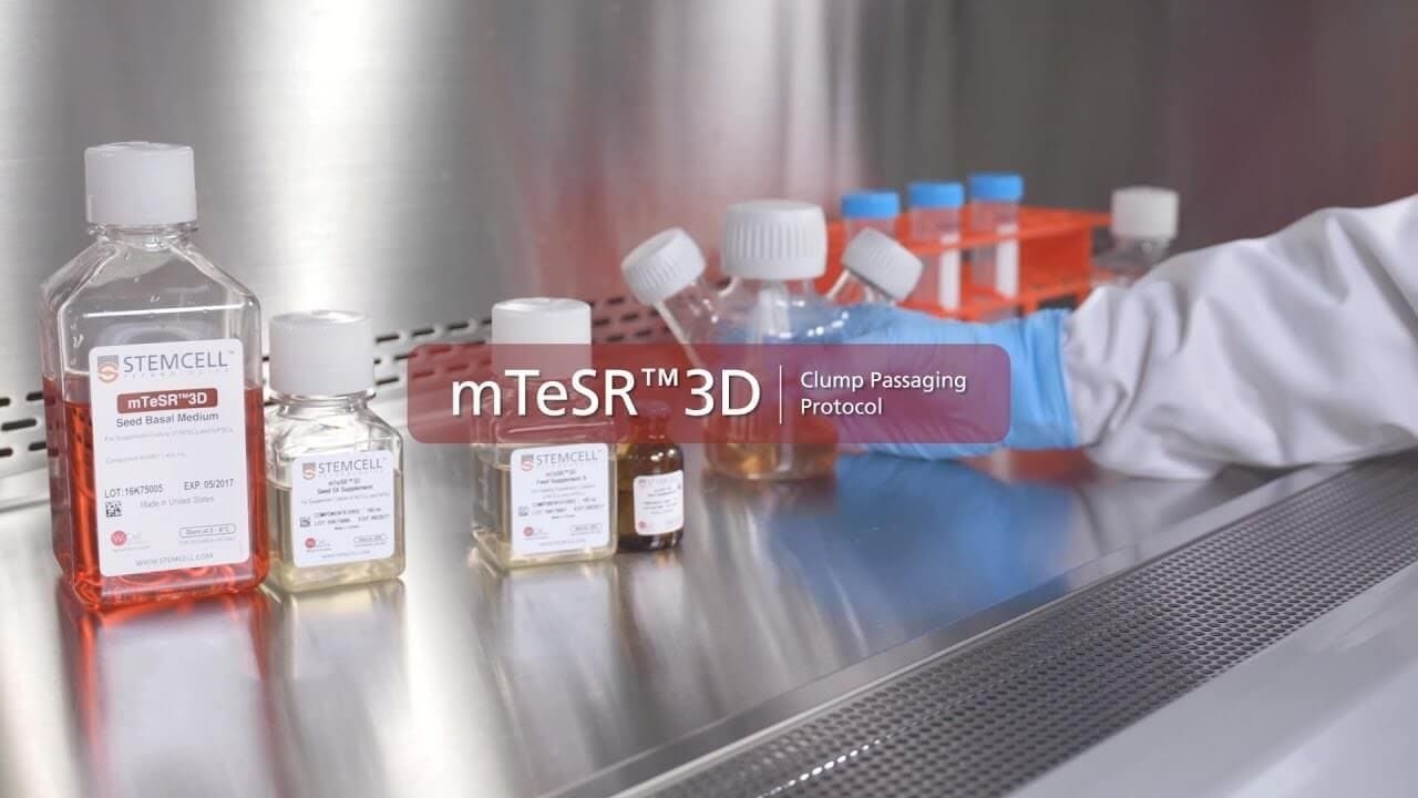 How to Passage hPSC Aggregates in mTeSR™3D Suspension Culture with a Clump Passaging Method