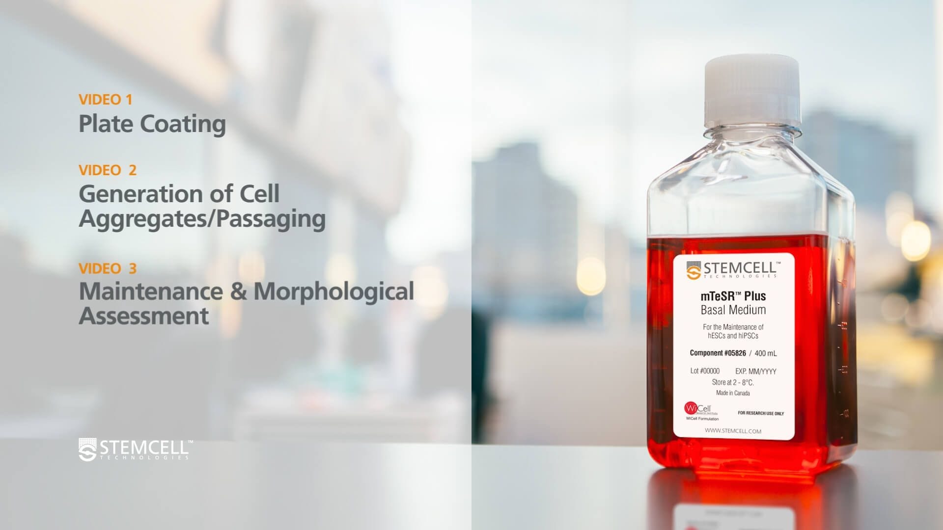 How to Transition Human Pluripotent Stem Cells into mTeSR™ Plus from Other Feeder-Free Media