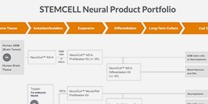 STEMCELL Neural Product Portfolio