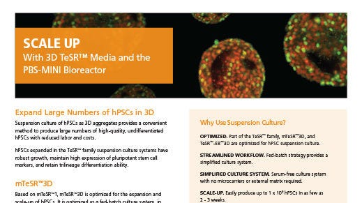 PSC Scale-Up Flyer