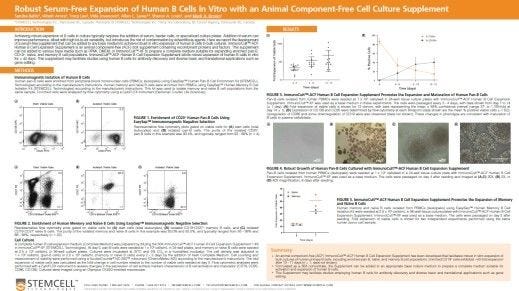Robust Serum-Free Expansion of Human B Cells In Vitro with an Animal Component-Free Cell Culture Supplement