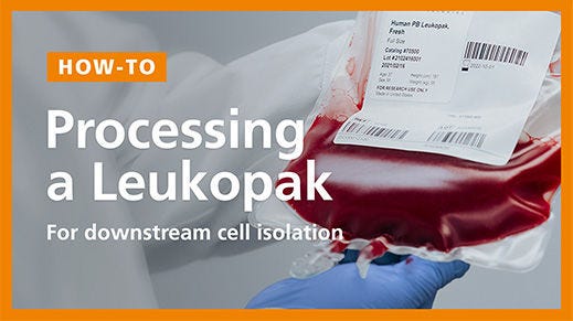 How to Process a Leukopak for Downstream Cell Isolation