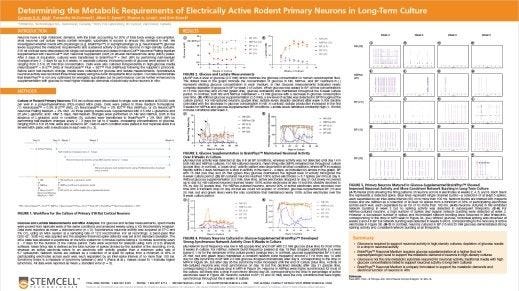 Determining the Metabolic Requirements of Electrically Active Rodent Primary Neurons in Long-Term Culture