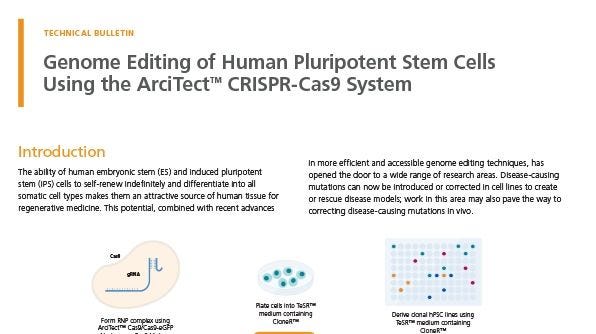 Genome Editing of Human Pluripotent Stem Cells Using the ArciTect™ CRISPR-Cas9 System