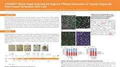 STEMdiff™ Blood Vessel Organoid Kit Supports Efficient Generation of Vascular Organoids from Human Pluripotent Stem Cells