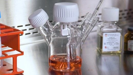 Large-Scale Expansion of Human Pluripotent Stem Cells in 3D Suspension Culture with mTeSR™3D Medium
