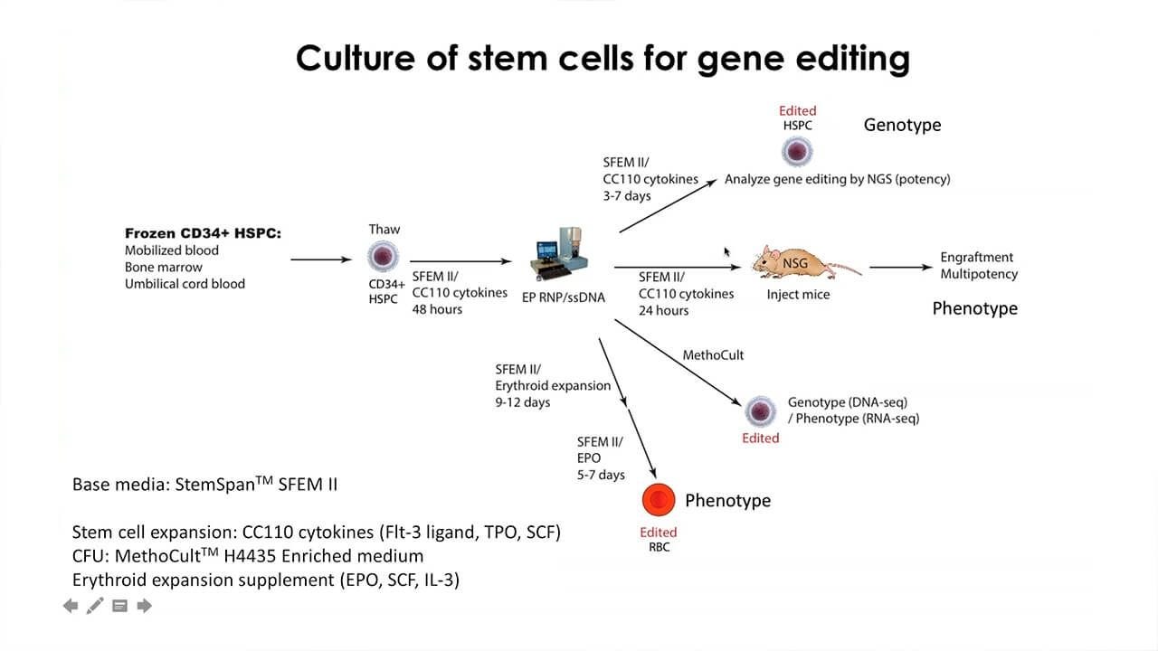 CRISPR-Cas9 Editing of Hematopoietic Stem and Progenitor Cells